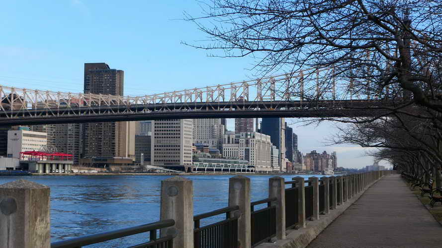 NYC_2020-01-27 08-39-37_P1070832